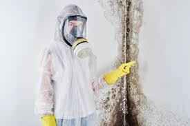 Best Emergency Mold Remediation  in Penn Estates, PA